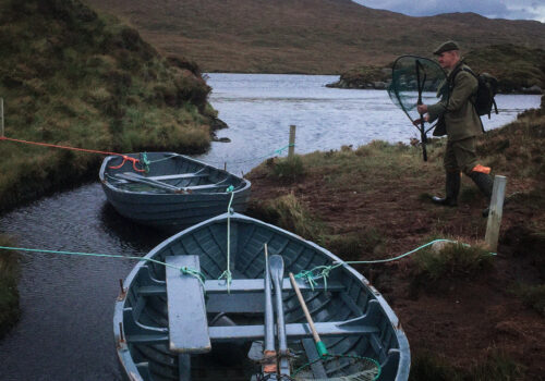 [product] IMG_8183 [Bertie]-2